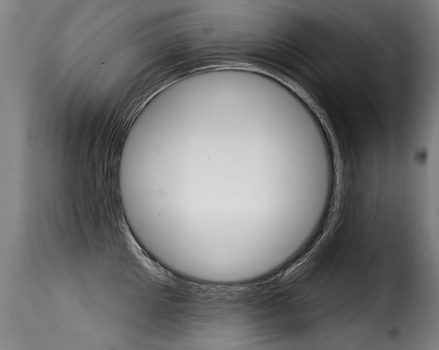 X0000116010905200911191234