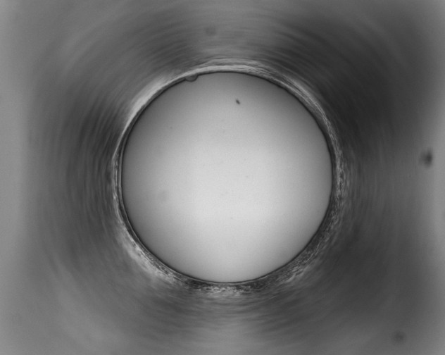 X0000116010907200911191234
