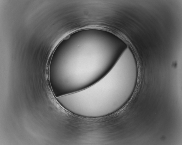 X0000116010908200911191234