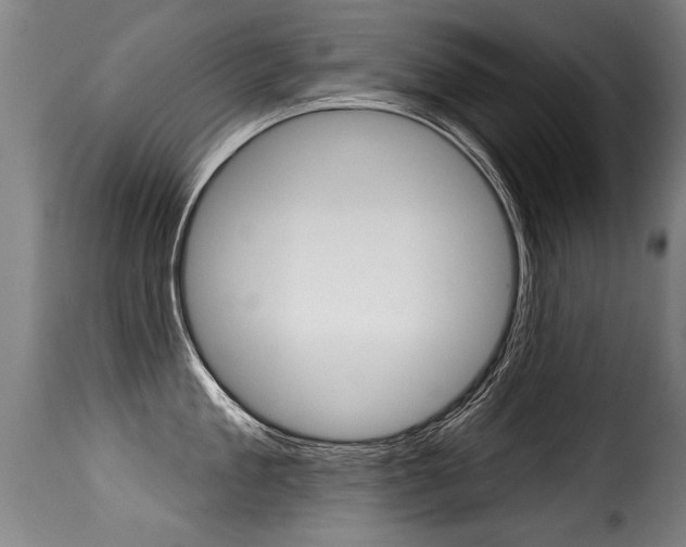 X0000116010909200911191234