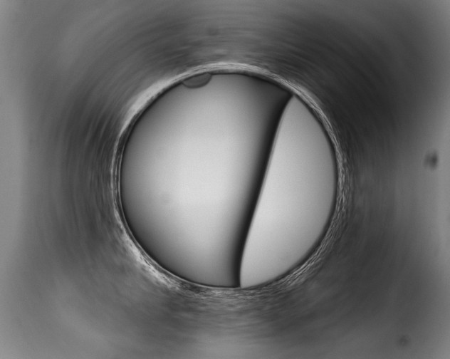X0000116010910200911191234
