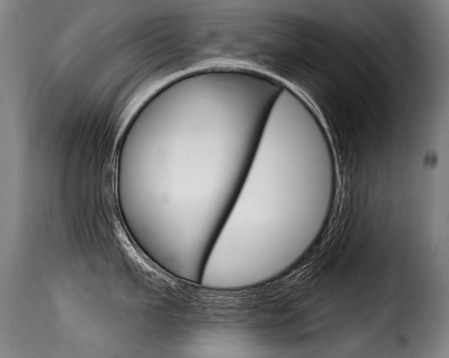 X0000116010911200911191234