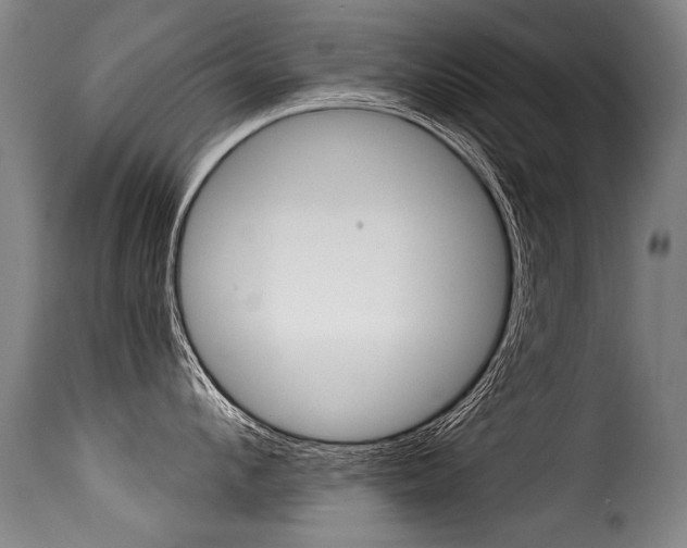 X0000116010912200911191234