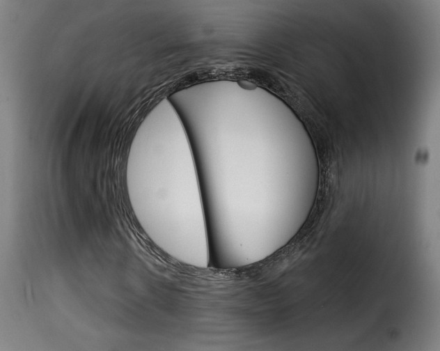 X0000116010914200911191233