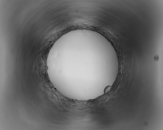 X0000116010917200911191234