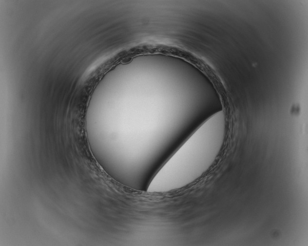 X0000116010919200911191234