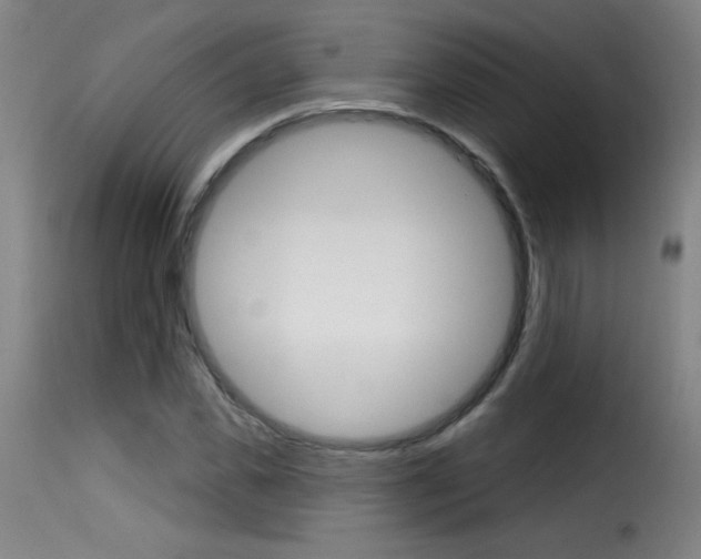 X0000116010925200911191234