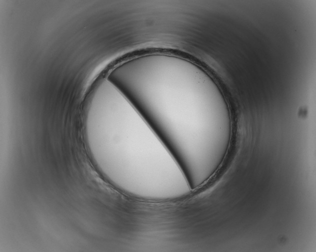 X0000116010926200911191234