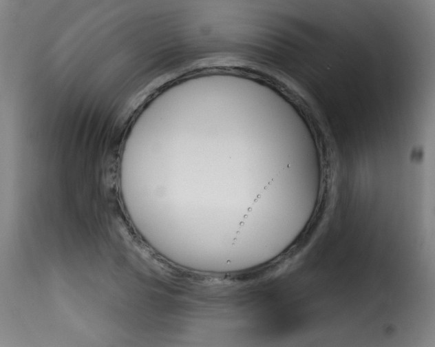 X0000116010929200911191234