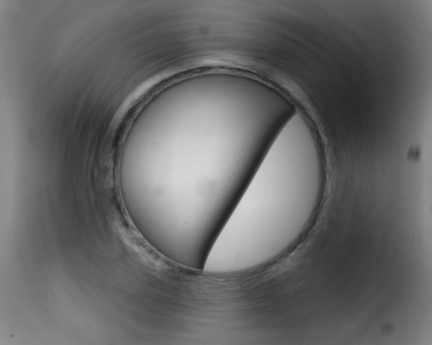 X0000116010931200911191234