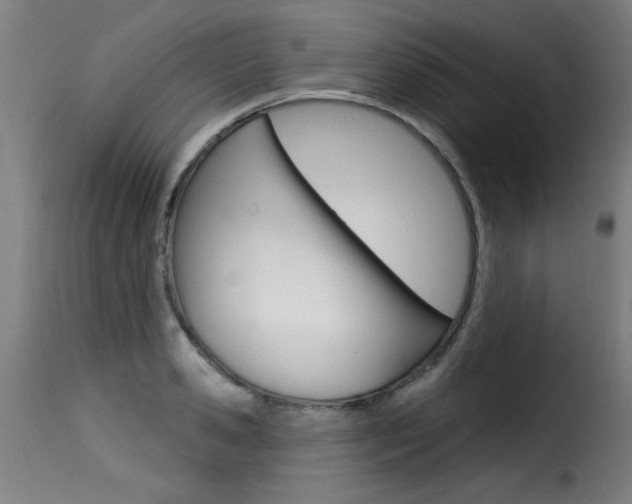 X0000116010941200911191234
