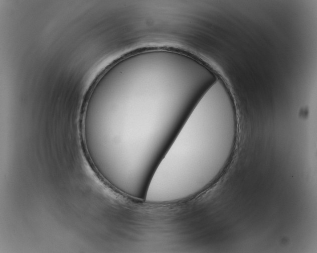 X0000116010943200911191234
