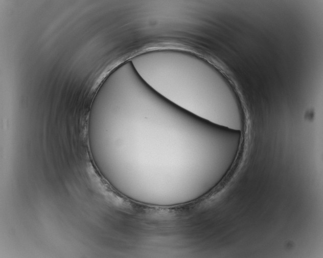 X0000116010945200911191234