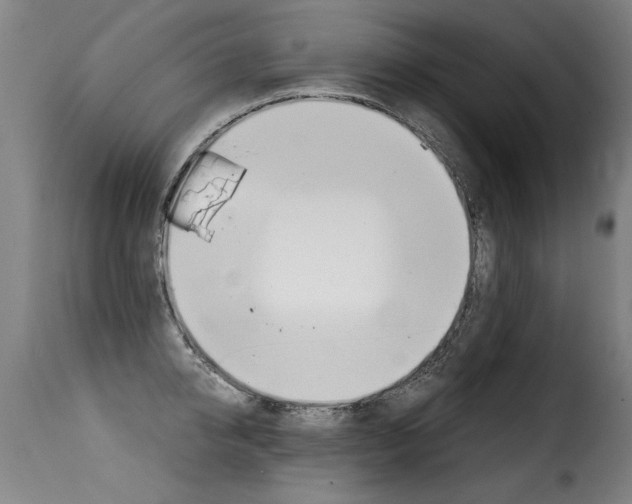 X0000116010950200911191234