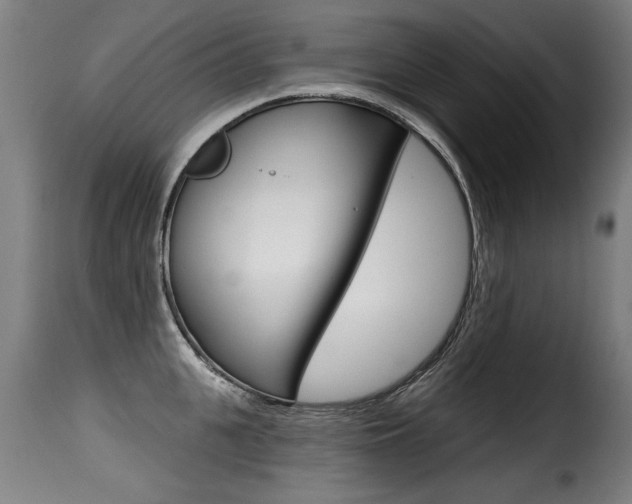 X0000116010951200911191234