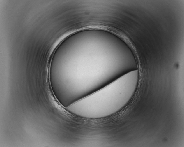 X0000116010955200911191234