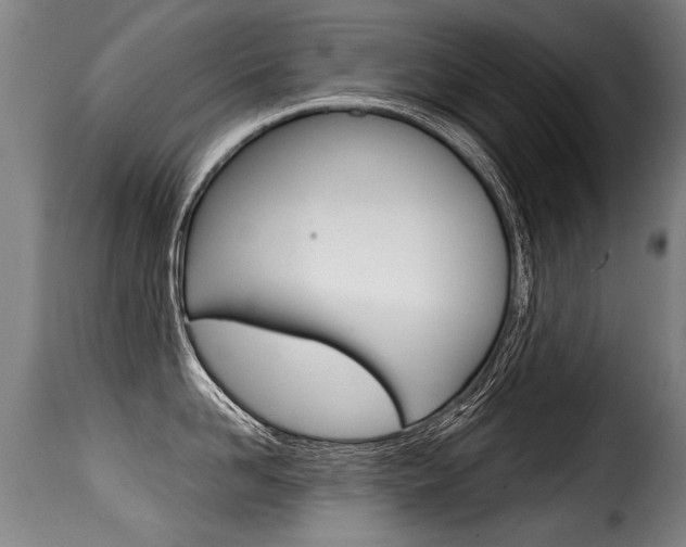 X0000116010958200911191234