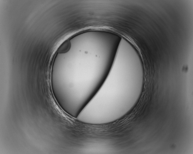 X0000116010959200911191234
