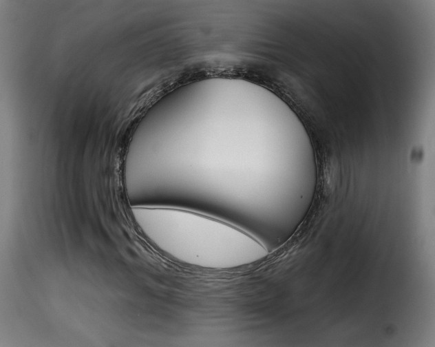 X0000116010964200911191233