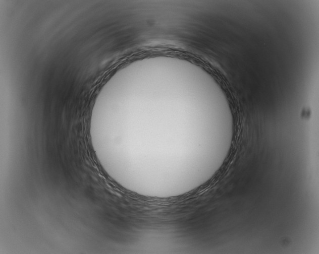 X0000116010965200911191233