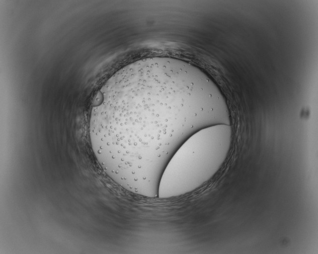 X0000116010966200911191233