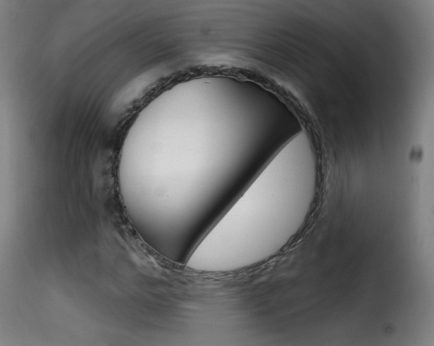 X0000116010968200911191233