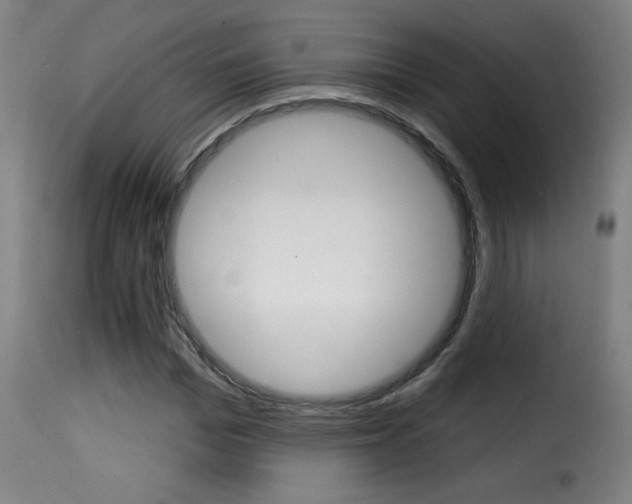 X0000116010969200911191233