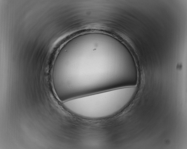 X0000116010971200911191233