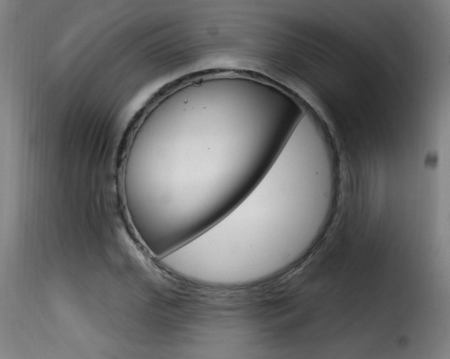 X0000116010972200911191233