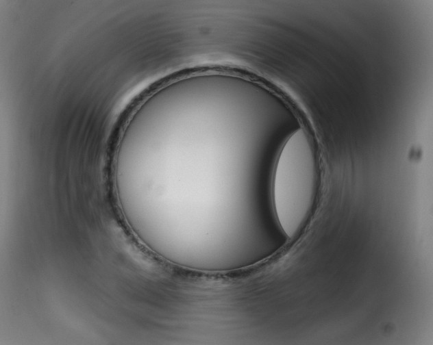 X0000116010975200911191233