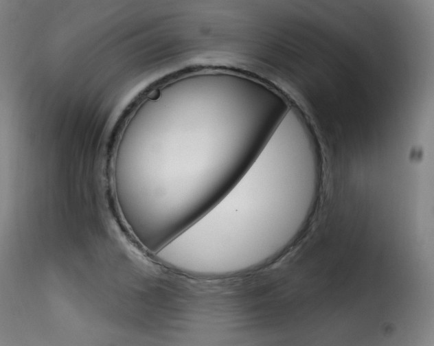 X0000116010976200911191233