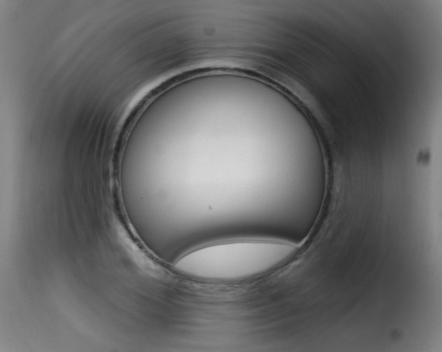 X0000116010980200911191233