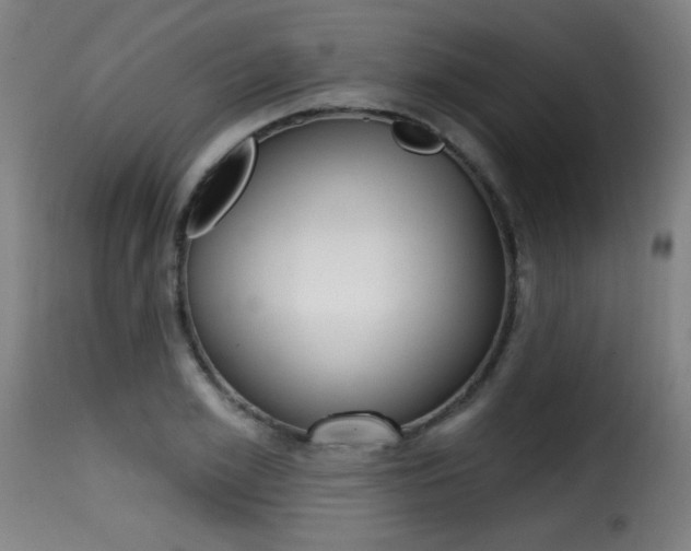 X0000116010981200911191233