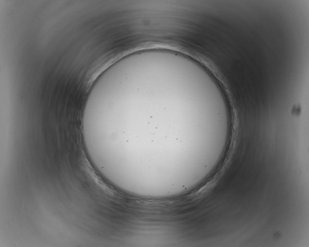 X0000116010985200911191233