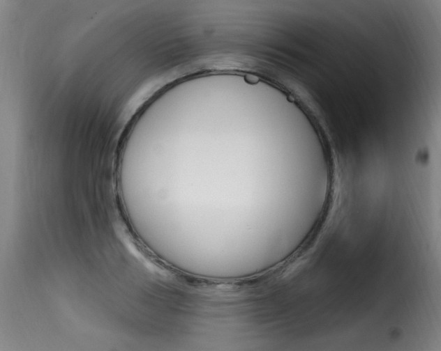 X0000116010986200911191233