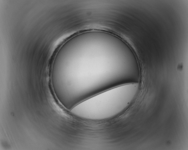 X0000116010987200911191233