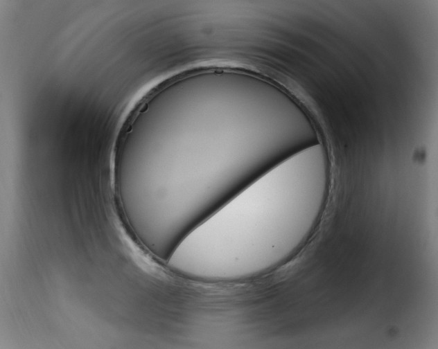 X0000116010988200911191233