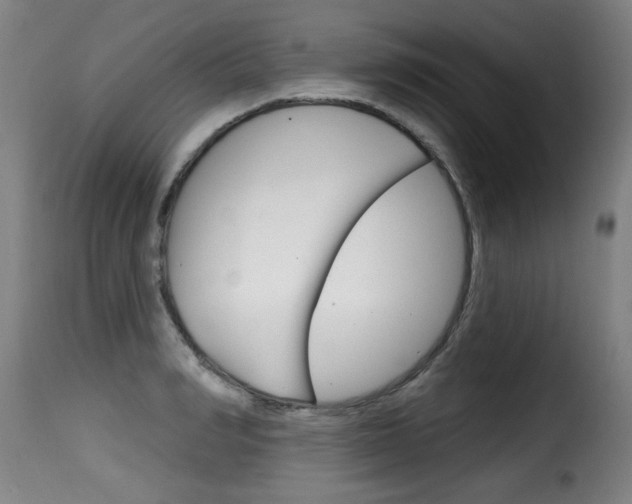 X0000116010990200911191233