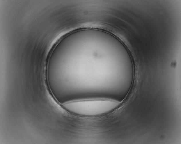 X0000116010992200911191233