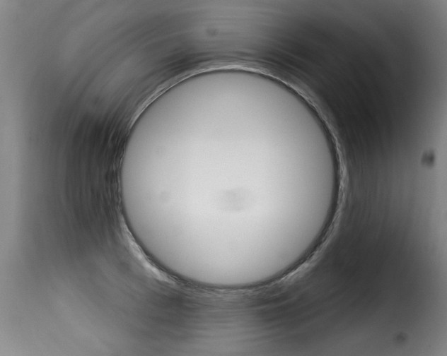 X0000116010993200911191233