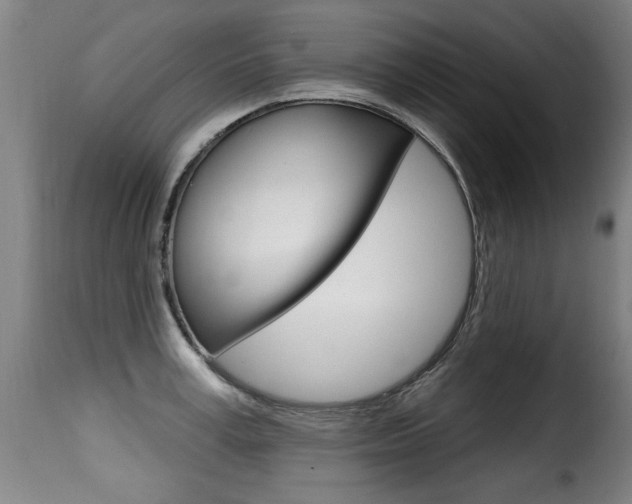 X0000116010995200911191233