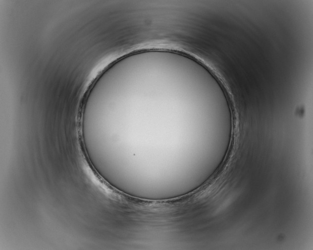 X0000116010998200911191233