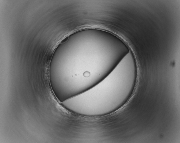 X0000116011001200911191233