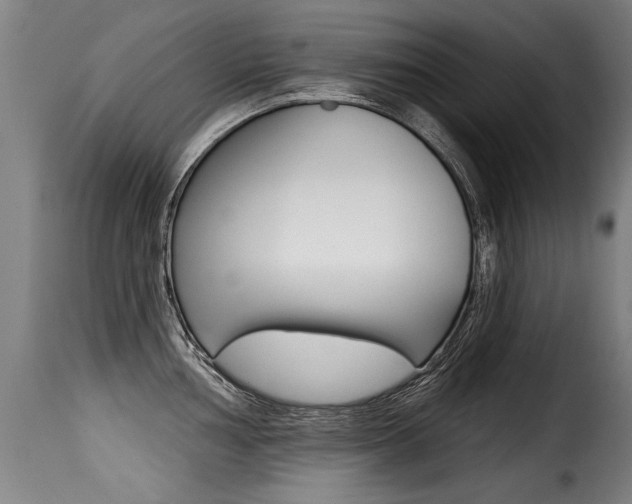X0000116011002200911191233