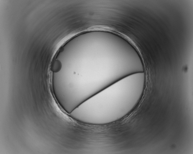 X0000116011003200911191233