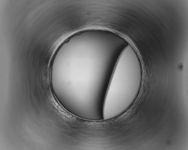 X0000116011004200911191233