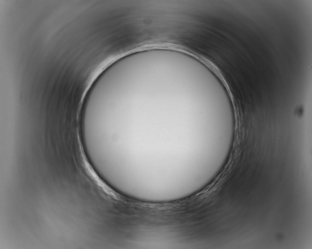 X0000116011005200911191233