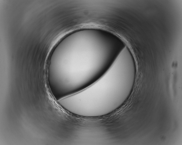 X0000116011008200911191233
