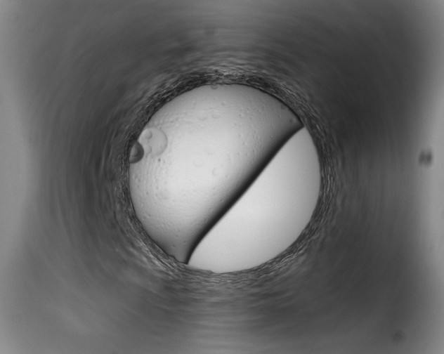 X0000116011009200911191232