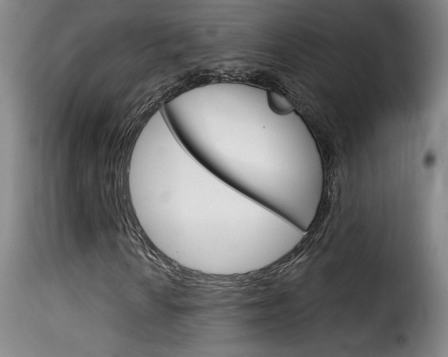 X0000116011010200911191232